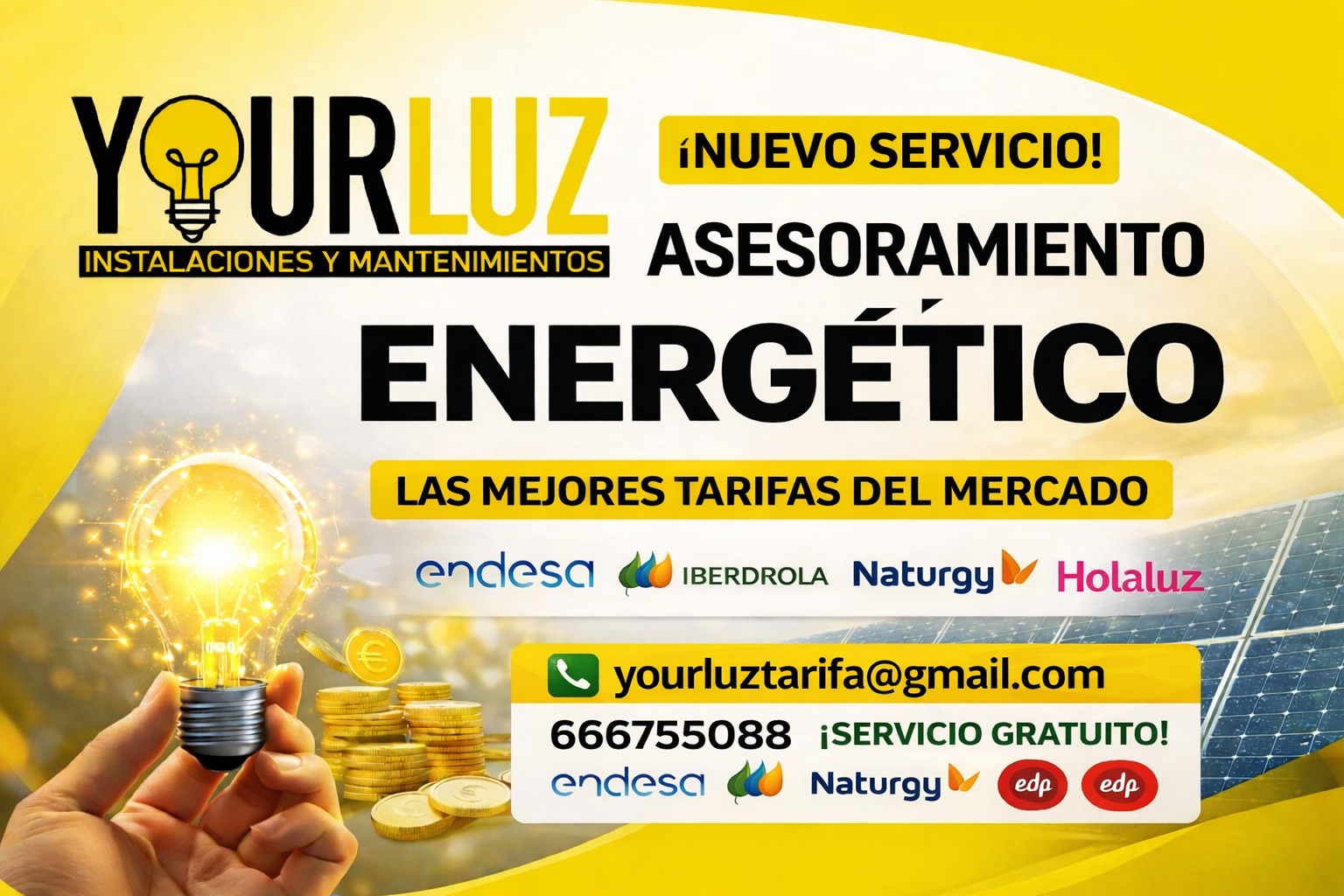 yourluz 